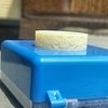 local3DPrintedRing.jpg