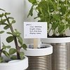 campbell_planter12.jpg