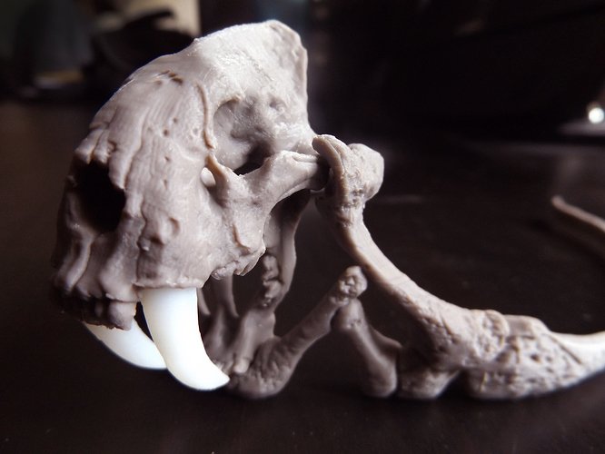 Tiara close detail.jpg