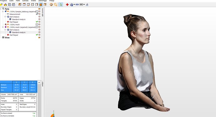 model_how_it_shows_in_netfabb.jpg