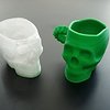 skullkopjes.jpg