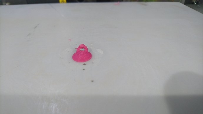 DSC_0050 3.JPG