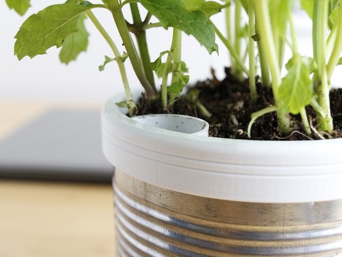 campbell_planter16.jpg