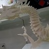 QQ图片20160615191019.jpg