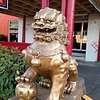 lion.jpg