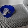 img_20180719_171600.jpg