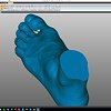 Foot 1.png