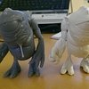 IMAG0795.jpg