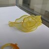 IMG_20160320_140258.jpg