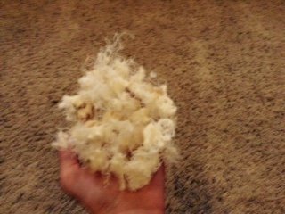 FullSizeRender (3).jpg