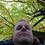 Marc_Notenboom